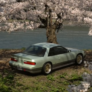 ErectSunflower
