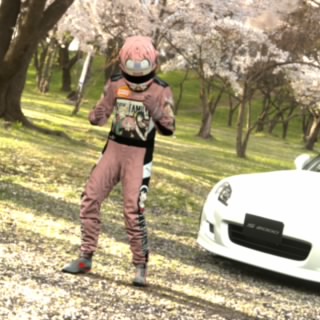 STIG
