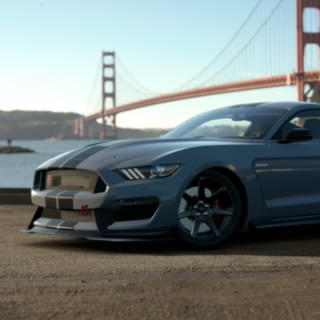 Bullitt-GT500