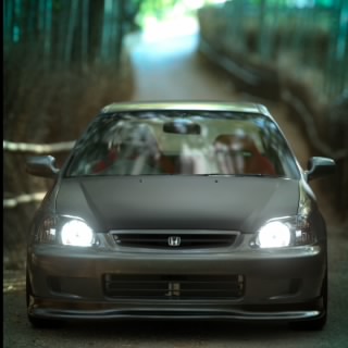 pinheiro_ek4