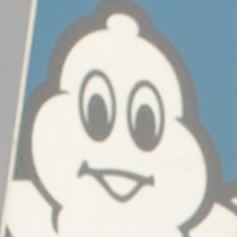 ホオズキ
