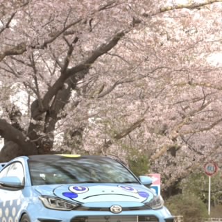 わちぼる