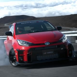 Mugen Mark