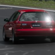 Canarioeg6