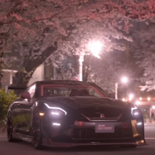 Yamacha_2345