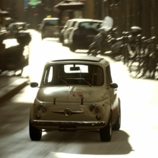 Il Player24