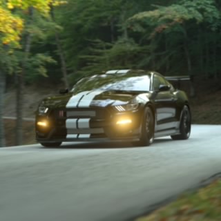 Stefano03
