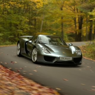 Specter_427