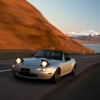 PLG