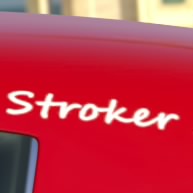 EJCR_StrokerAce