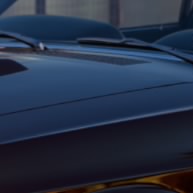 P 51