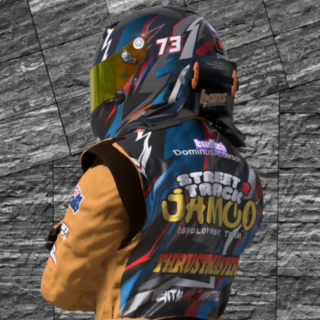 S2T_S. Anderson