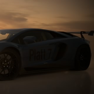 Platt_7