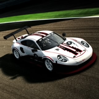 PorscheFerret.
