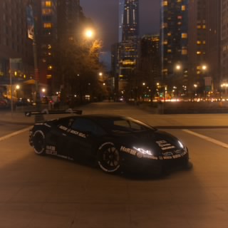 N. Burgring