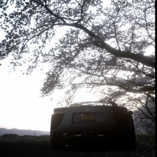 mxrxt