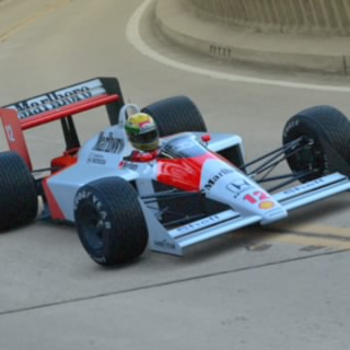Pitber11