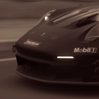 Race Buddy