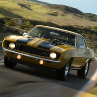 Alexpett9