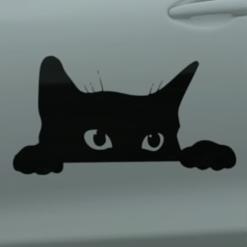 ももんたん