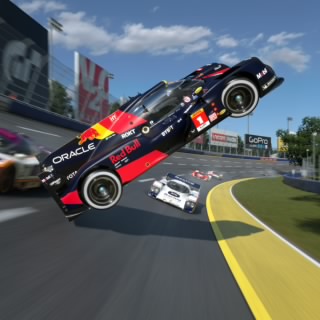 Dog.raceing.inc