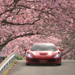 Katsu_e531