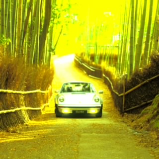 Speed 4