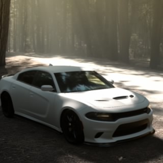 Gato