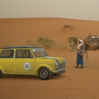 Arty Camel