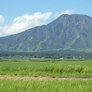 無免許