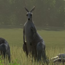 JakkuBibi
