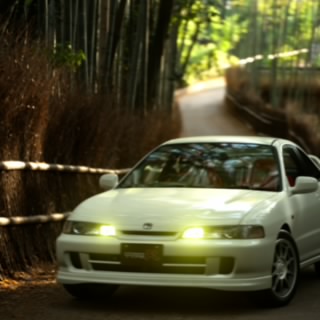 Drift Monkey