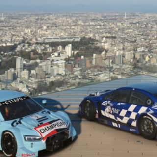 Shane chapman 80