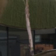 MV1