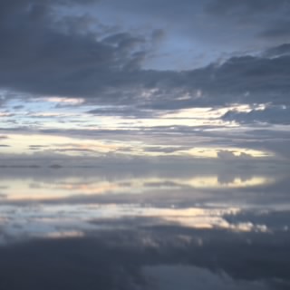 黑鳥