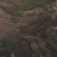 Afmu
