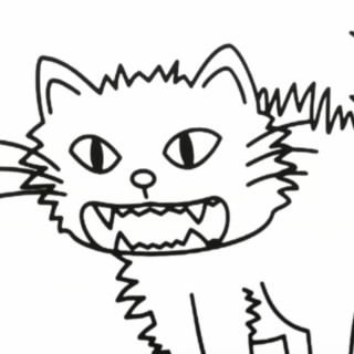 Borrowed Cat