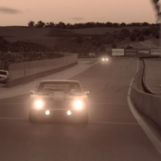Japanese lewis 
