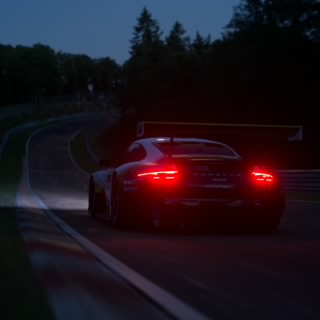 F215SSII