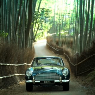 AdrianSpeed_17