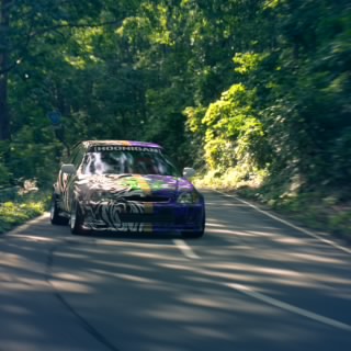 Sanss8