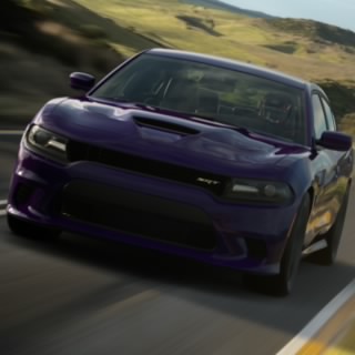 Cheddar_Bob89