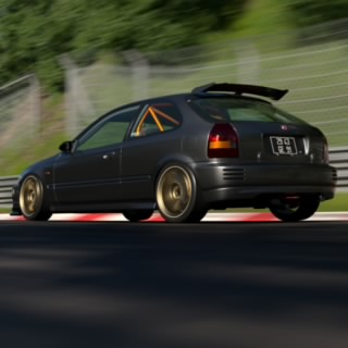 Zigonoir