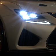 GoGo