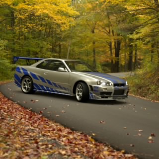 lidhan_senna