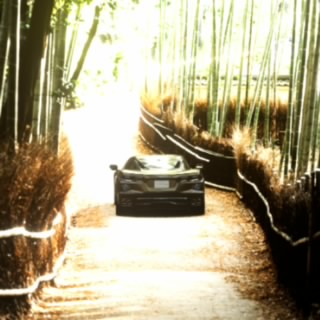 ManuelitosWay