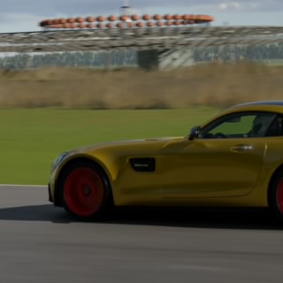 Haraldo