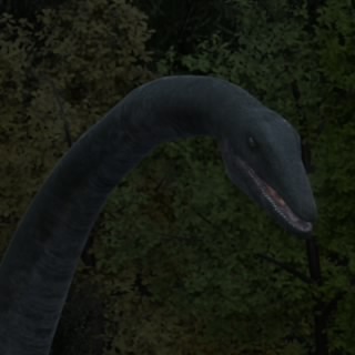 Inxcetus