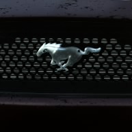 Speedgekko