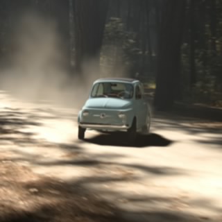 Popa perepelki 